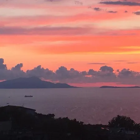 Li Schisani Nyaraló *