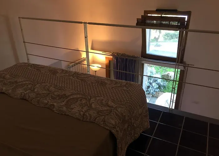 Li Schisani Nyaraló *