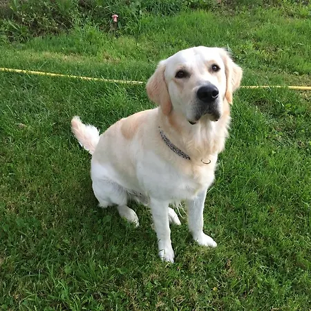 Li Schisani Holiday home