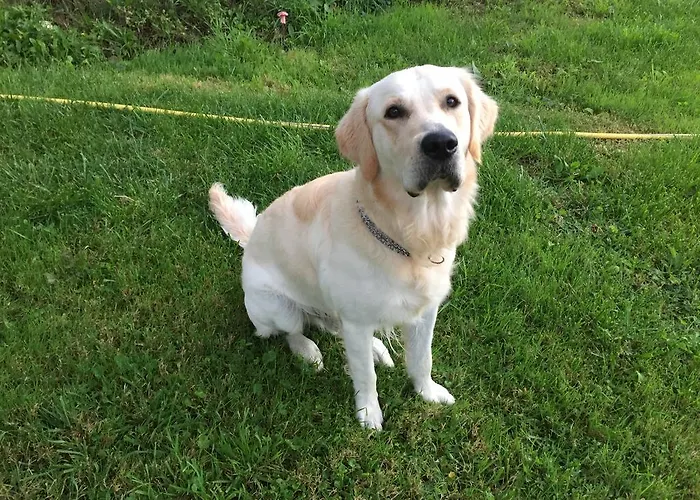 Li Schisani Дом отдыха