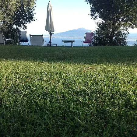 Li Schisani *